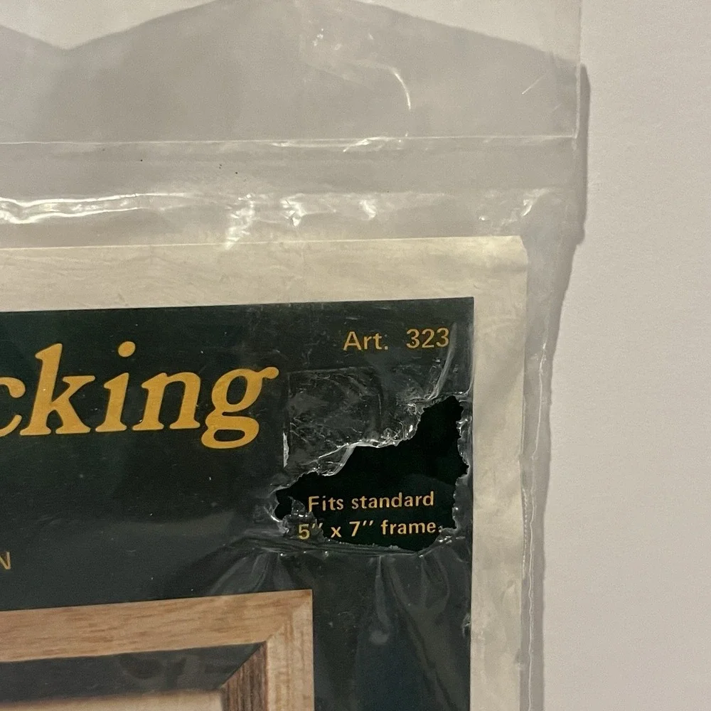 2 VTG Needle‎ Magic Embroidery Candlewicking Kits Chicken Sprinkling Can Cottage